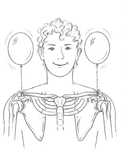 Imagine the tips of the shoulders lifted by balloons